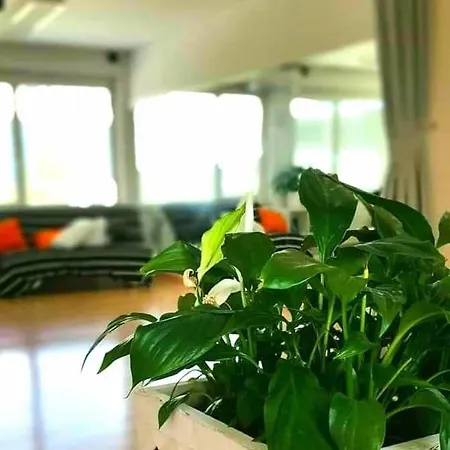 Hostal Tej